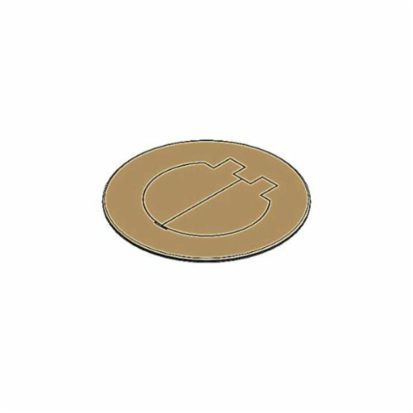 Thomas & Betts Carlon® E97BR2D 2-Door Floor Box Cover, Brass